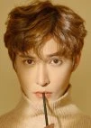Lin Shi Jie