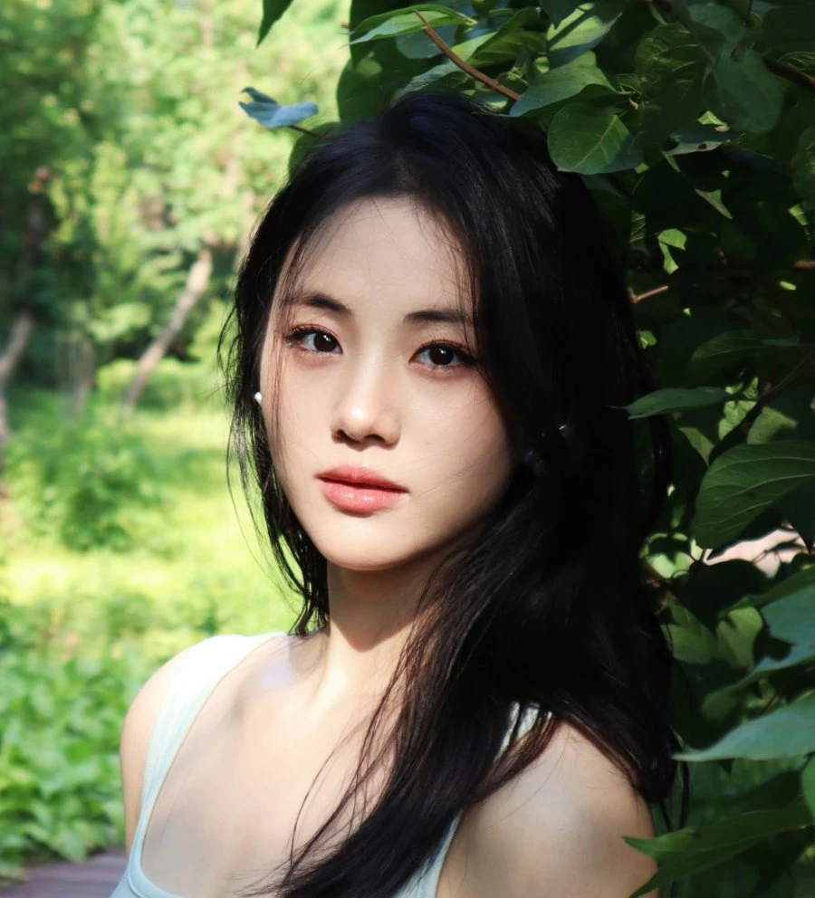 Nie Han Ming